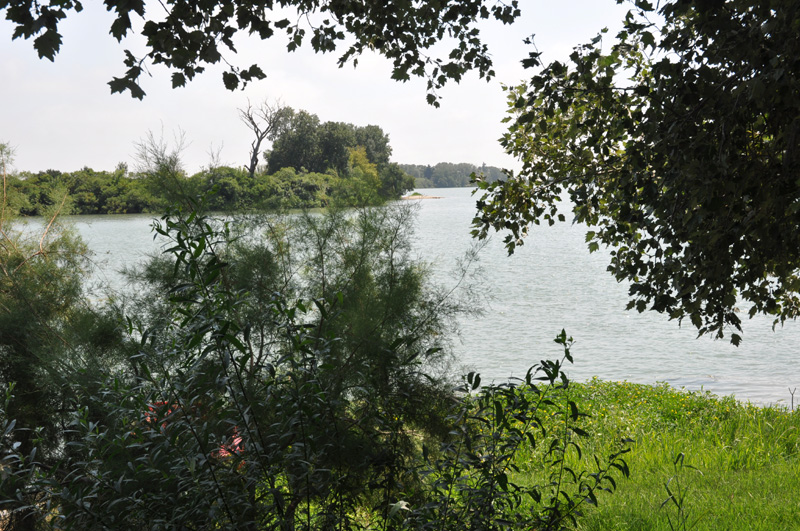 Cmarague Fishing tour